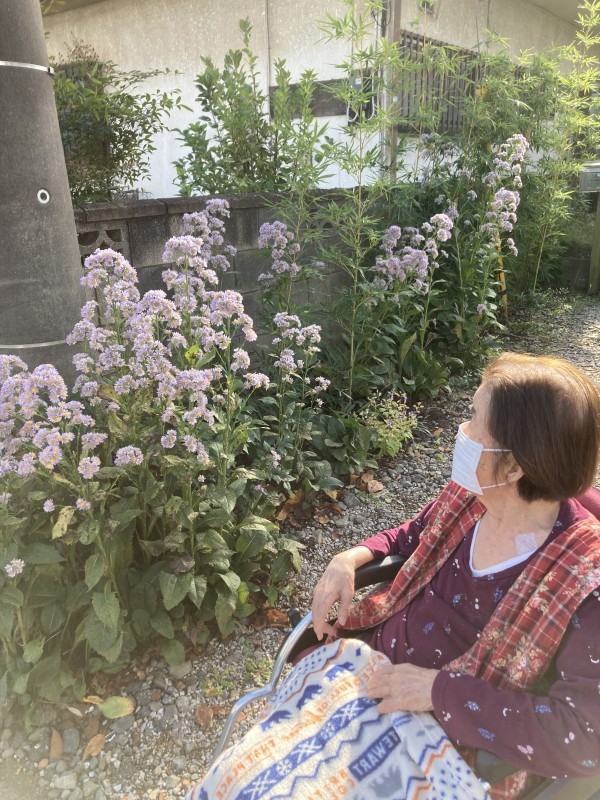 外気浴や日光浴のレクリエーション
